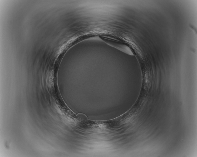 X0000100340492200806051542