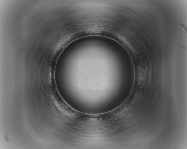 X0000100340494200806051542