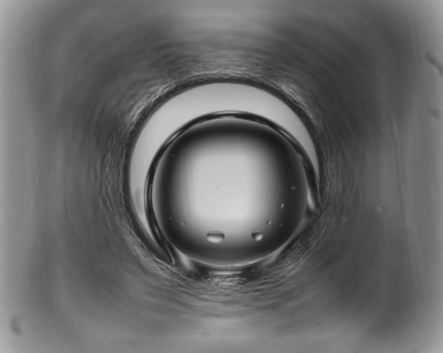 X0000100340495200806051542