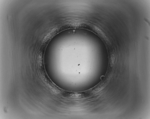 X0000100340497200806051542