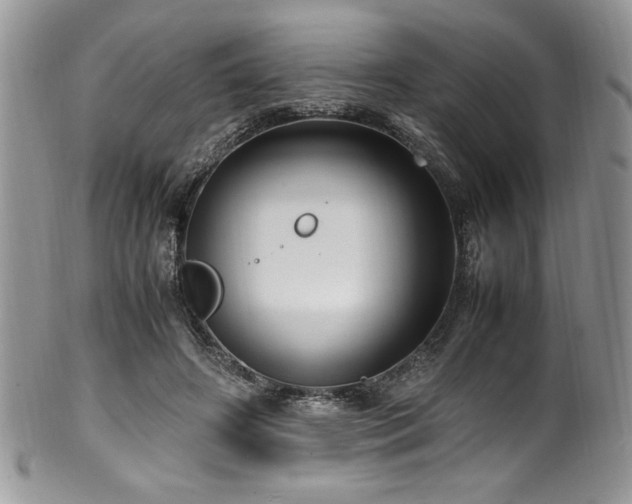 X0000100340498200806051542