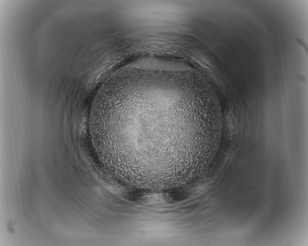 X0000100340499200806051542
