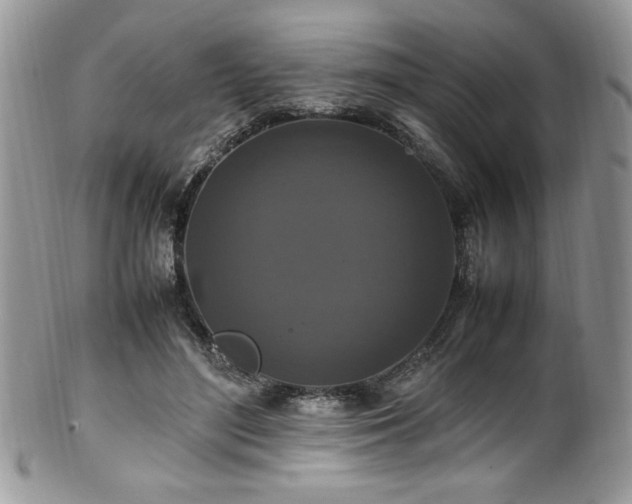 X0000100340500200806051541
