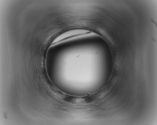 X0000100340501200806051541