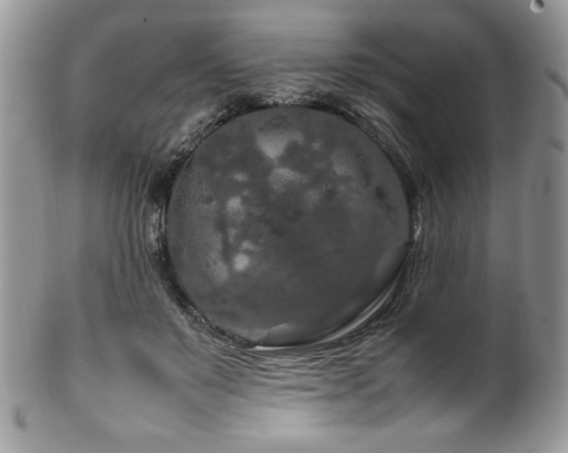 X0000100340503200806051541