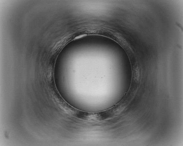 X0000100340505200806051541