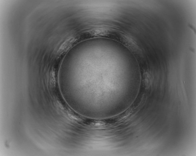 X0000100340506200806051541