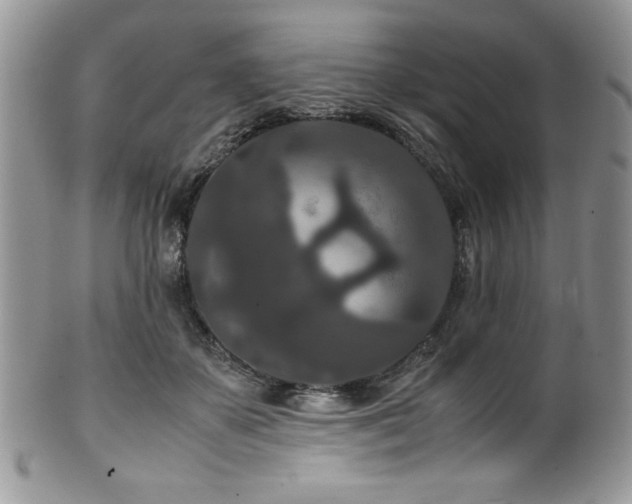 X0000100340507200806051541
