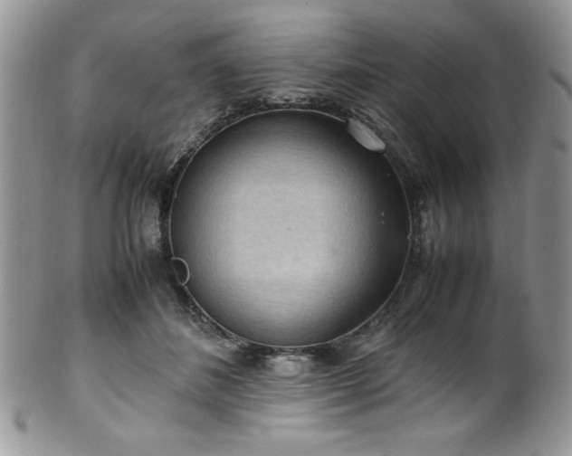 X0000100340508200806051541