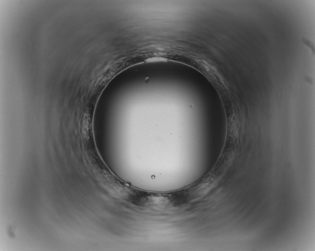 X0000100340509200806051541