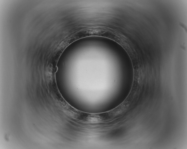 X0000100340510200806051541