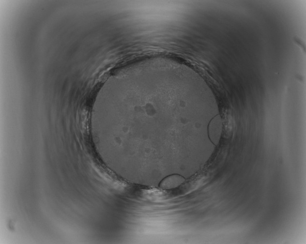 X0000100340511200806051541