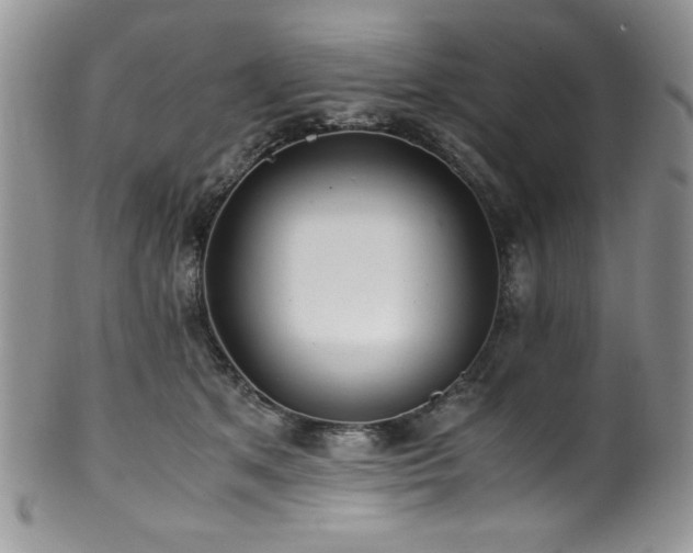 X0000100340513200806051541