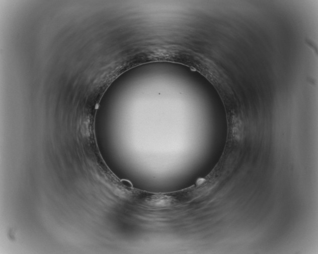 X0000100340514200806051541