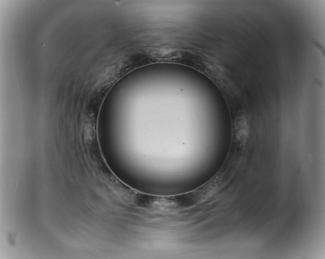X0000100340515200806051541