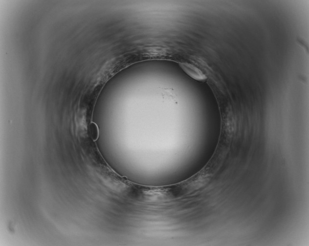 X0000100340516200806051541