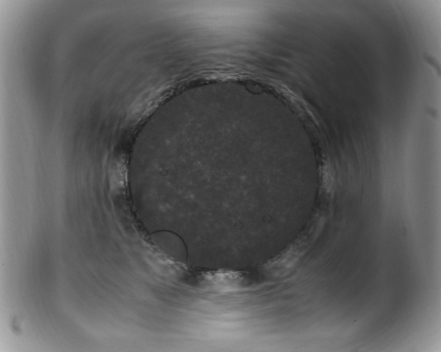 X0000100340517200806051541