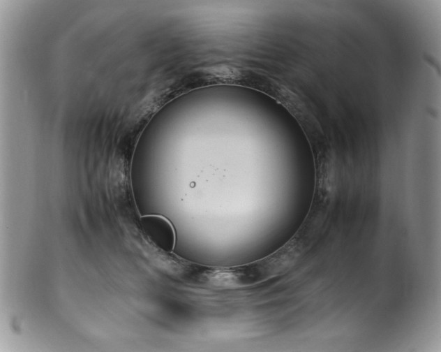 X0000100340518200806051541