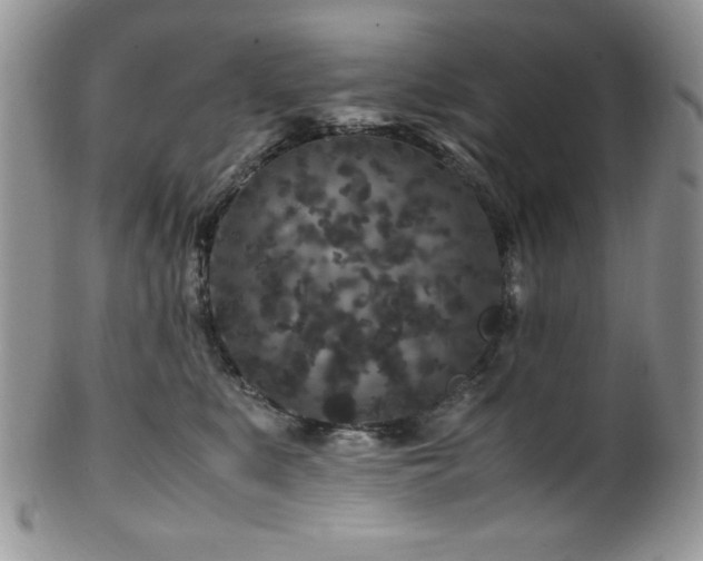 X0000100340519200806051541