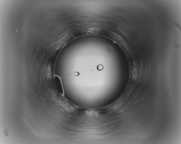 X0000100340520200806051541