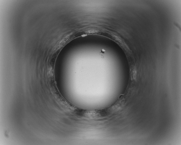 X0000100340521200806051541