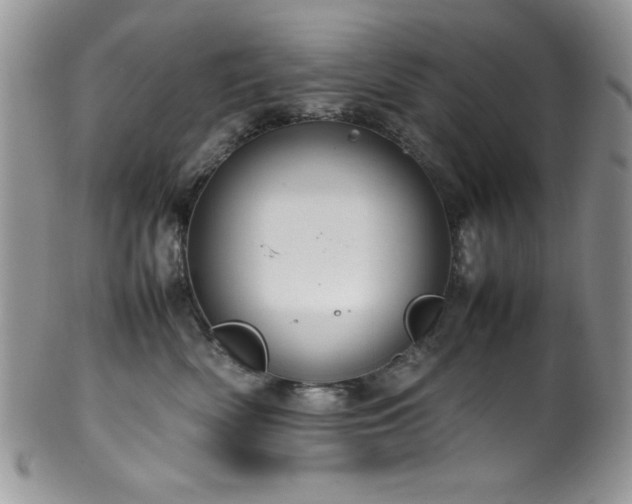 X0000100340522200806051541