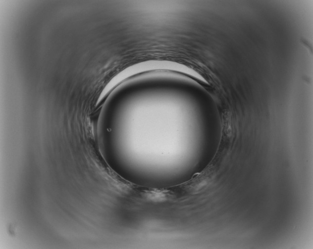 X0000100340523200806051541
