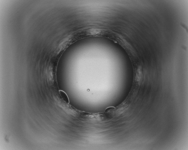 X0000100340524200806051541
