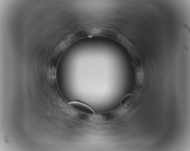 X0000100340525200806051541