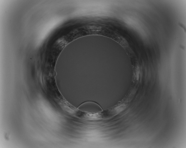 X0000100340526200806051541