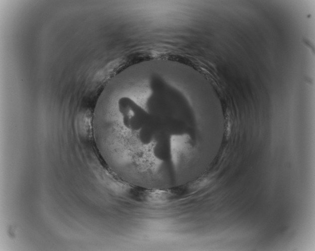 X0000100340527200806051541