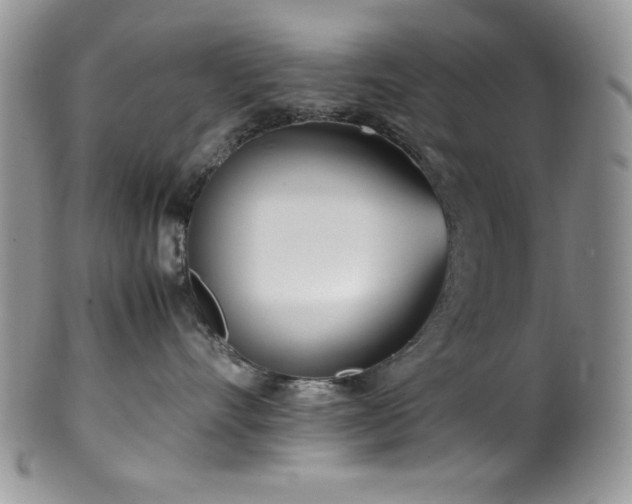 X0000100340528200806051541