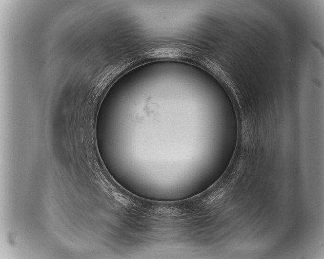 X0000100340529200806051540