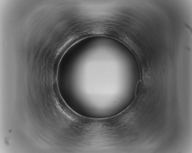 X0000100340530200806051540