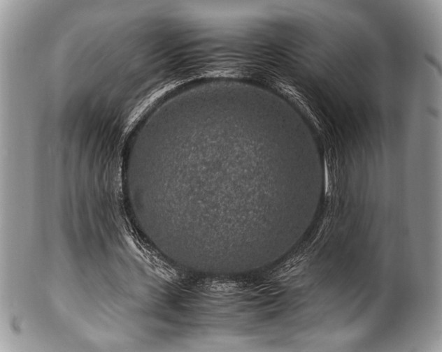 X0000100340531200806051540
