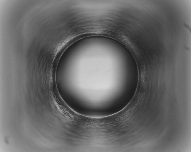 X0000100340532200806051540