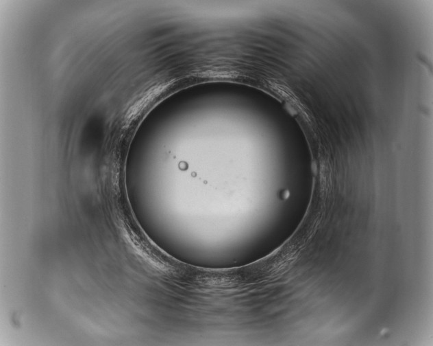 X0000100340533200806051540