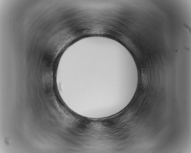 X0000100340534200806051540
