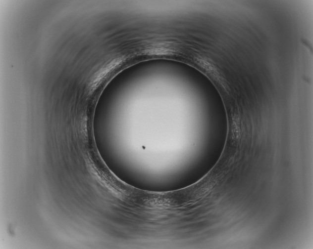 X0000100340535200806051540