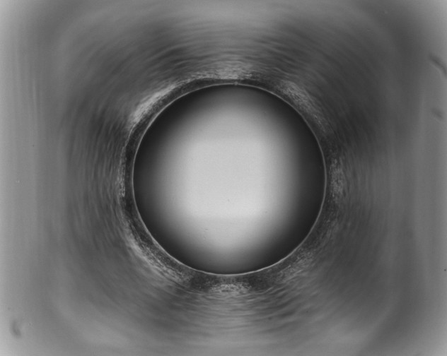 X0000100340536200806051540
