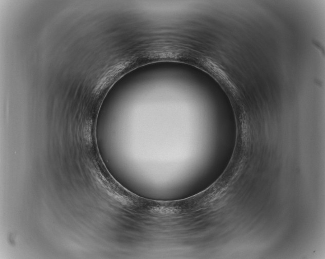 X0000100340537200806051540