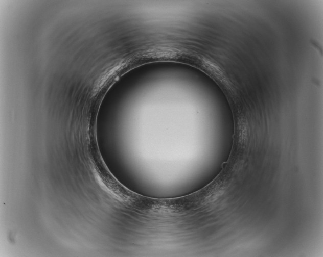 X0000100340538200806051540
