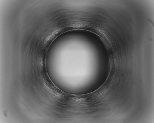 X0000100340539200806051540