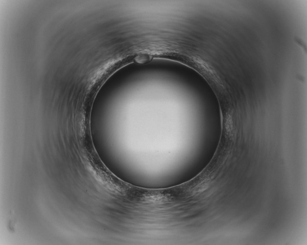 X0000100340540200806051540