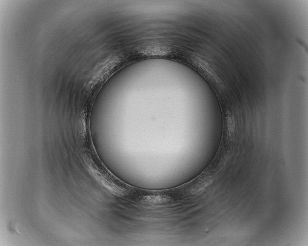 X0000100340541200806051540