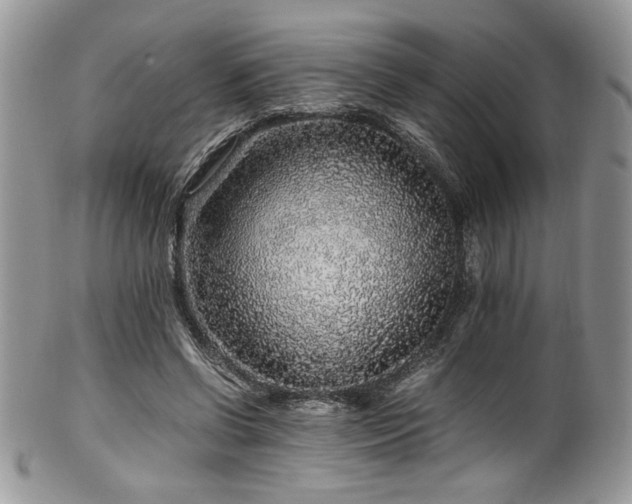 X0000100340542200806051540