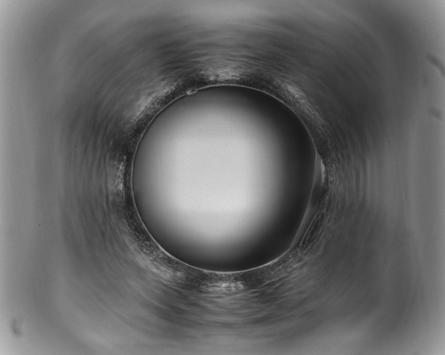 X0000100340543200806051540