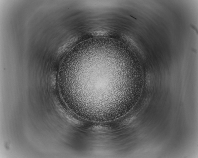 X0000100340545200806051540