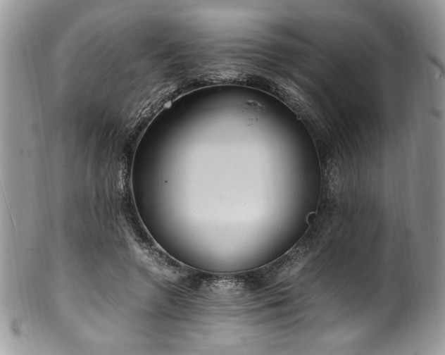 X0000100340546200806051540