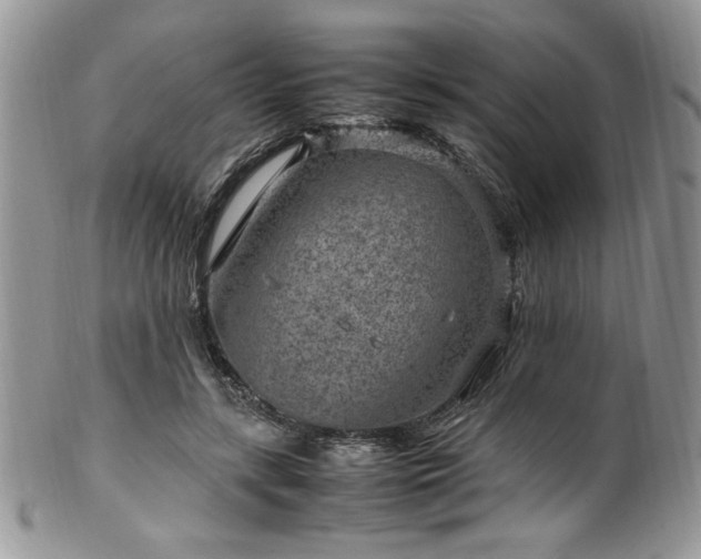 X0000100340547200806051540